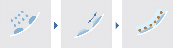 プレミストの仕組み